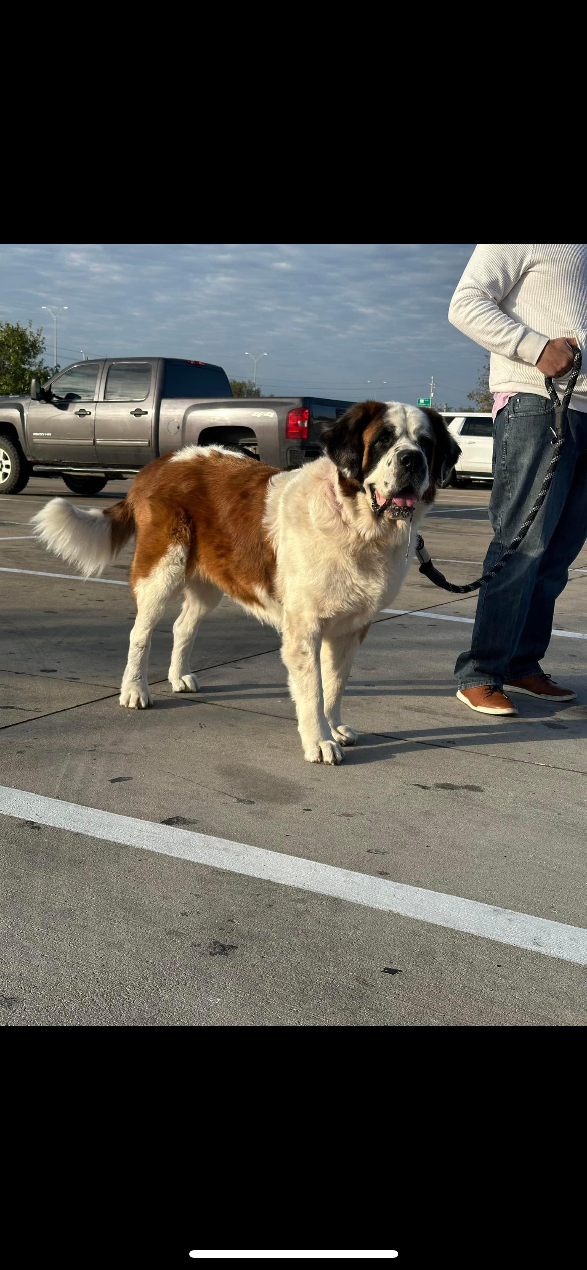 Ruby – ADOPTED 12/14/2024