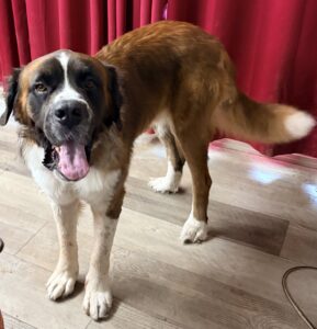 Atlas 7/30/26 ADOPTED 9/5/26